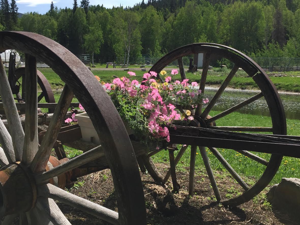 Chena Hot Springs Resort Exterior foto